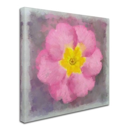 Trademark Fine Art Cora Niele 'Primrose Pink' Canvas Art, 14x14 ALI16464-C1414GG